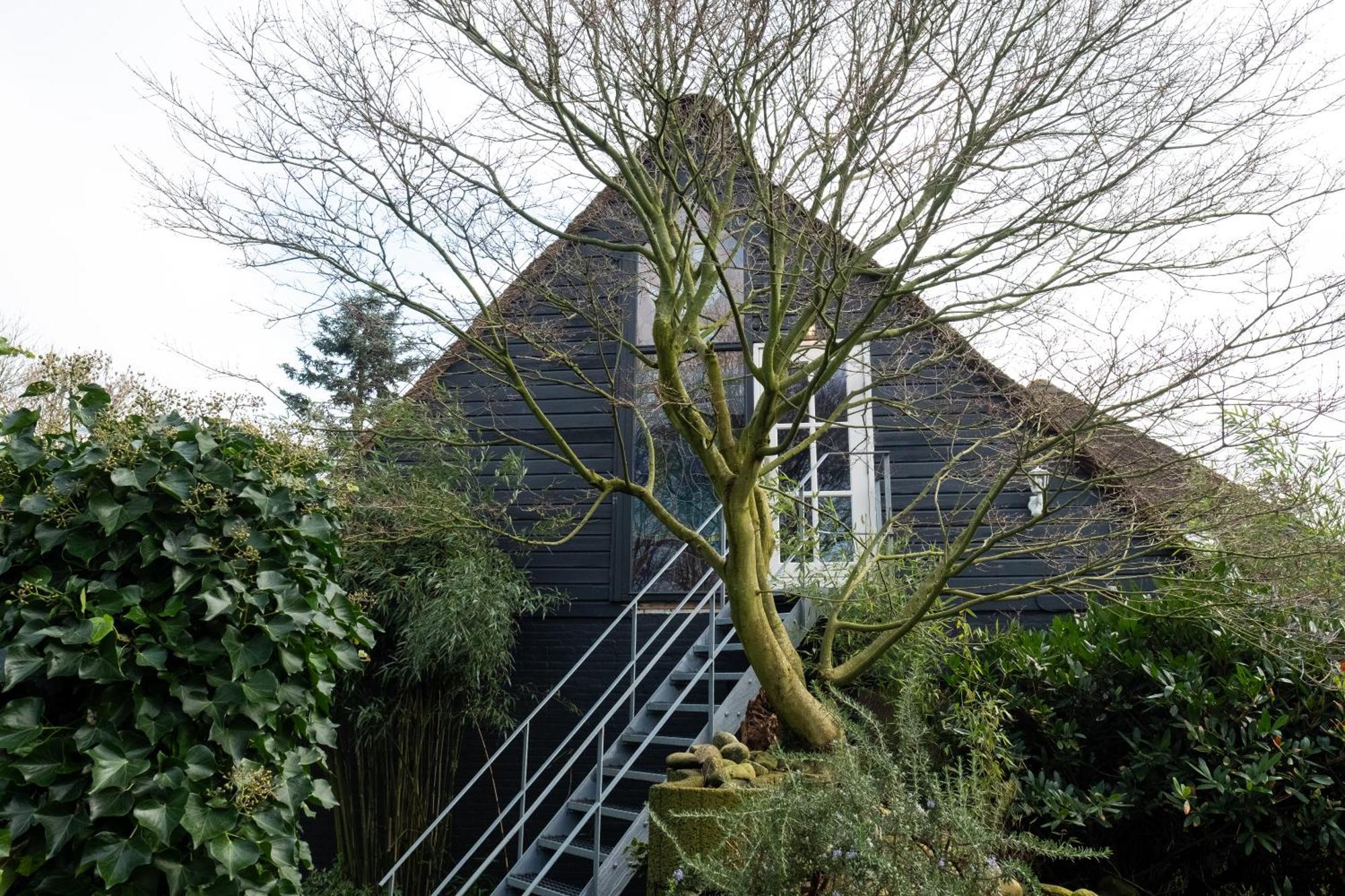 Dream Apartments Hoogwoud Eksteriør billede